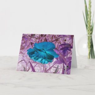 Cartão Foto Digitalmente Editada "Blue Poppy": Flor, Gram