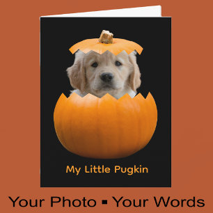 Cartão Foto do Cachorro de Abóbora do Halloween Personali