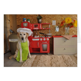 Cartão Foto do cão com chapéu do cozinheiro chefe sobre