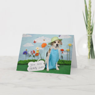 Cartão Foto do cão na roupa, tema "bonito" para qualquer