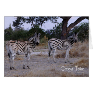 Cartão Foto do olhar duas vezes da zebra