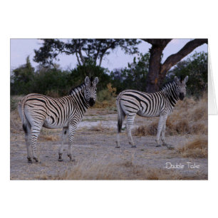 Cartão Foto do olhar duas vezes da zebra
