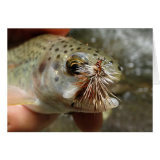 Cartão Foto do Rainbow Trout