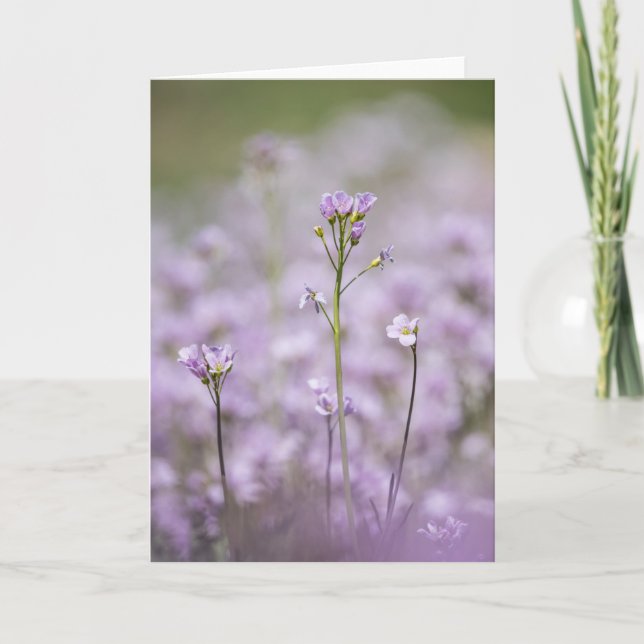 Cartão Foto do Smock Nature de Lady (Frente)