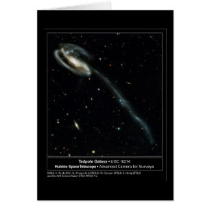 Cartão Foto do telescópio de Hubble da galáxia do Tadpo
