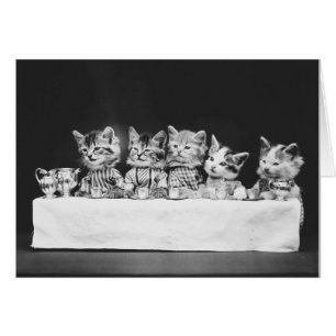 Cartão Foto do vintage - gatinhos que comem o chá,
