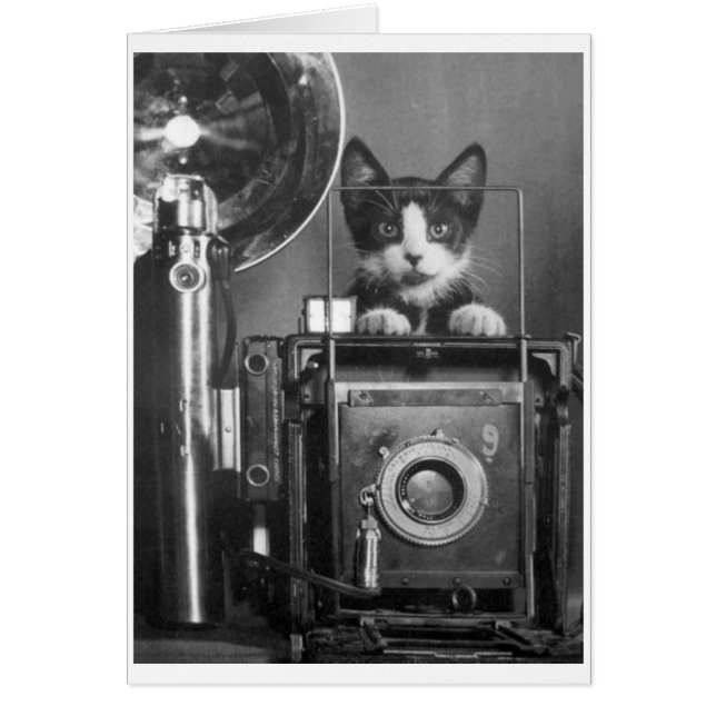 Cartão Foto do vintage - gato com câmera (Frente)