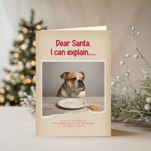 Cartão Foto engraçada de cachorro safado moderno no Natal