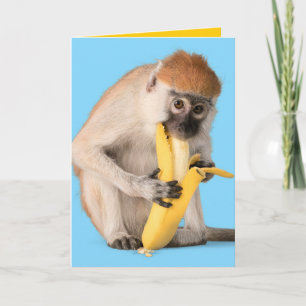 Cartão Foto engraçada de um macaco giro comendo uma bana