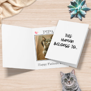 Cartão Foto Engraçada Do Gato Para Este Humano