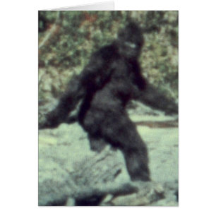 CARTÃO FOTO ORIGINAL DA SASQUATCH DE PÉ-BAIXO 1967