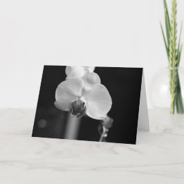 Cartão Foto Orquídea Negra e Branca "Feliz Aniversário!"