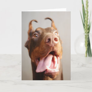 Cartão Foto personalizada de animal de estimação (cão)
