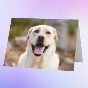 Cartão Foto personalizada de cão