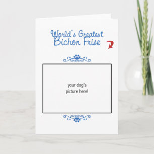 Cartão Foto personalizada! O Maior Bichon Frise
