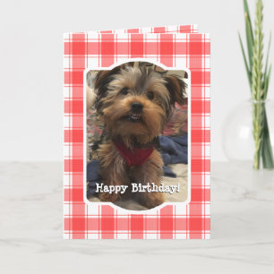 Cartão Foto personalizada, Xadrez de fazendeiros brancos 