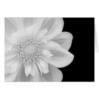 Cartão foto preto e branco