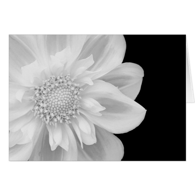 Cartão foto preto e branco (Frente horizontal)