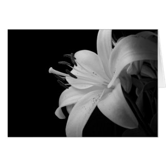 Cartão foto preto e branco