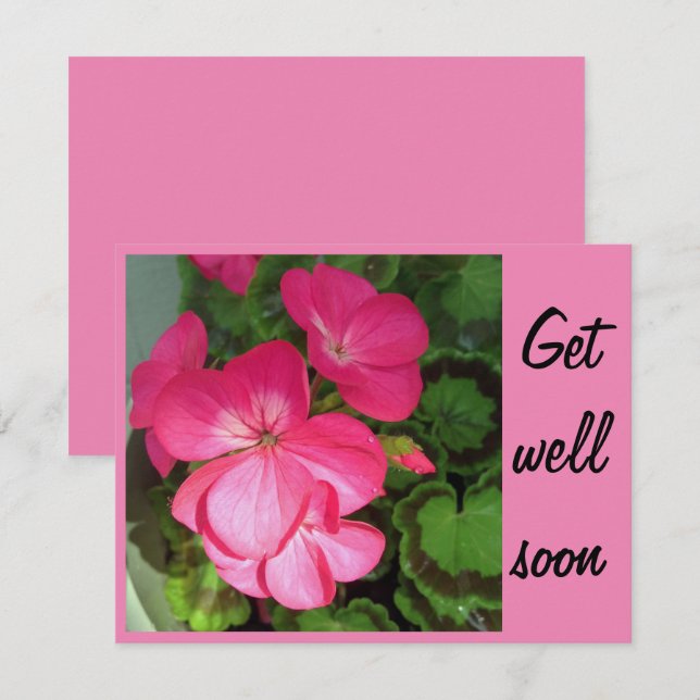 Cartão Foto rosa de Geranium melhore em breve (Frente/Verso)