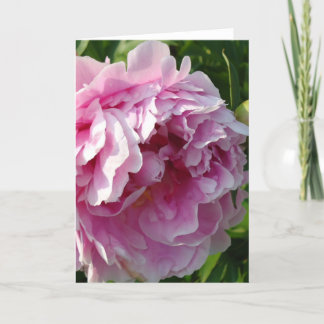 Cartão Foto rosa de Peony caseiro caseiro caseiro floral