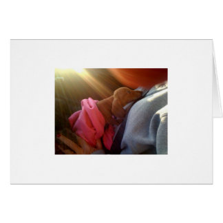 Cartão fotografia[1]