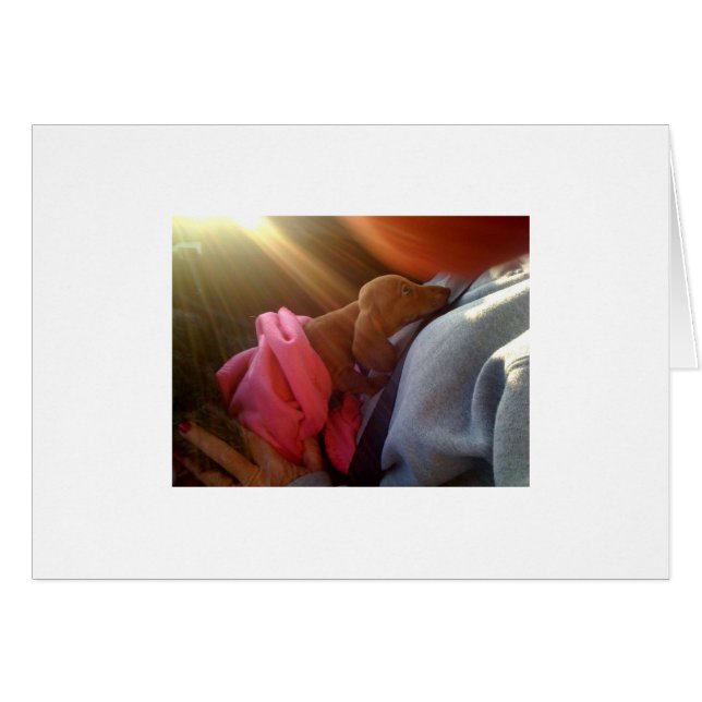 Cartão fotografia[1] (Frente Horizontal)