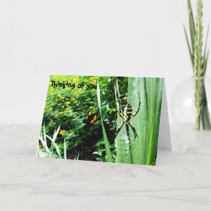 Cartão Fotografia da aranha do jardim amarelo e preto