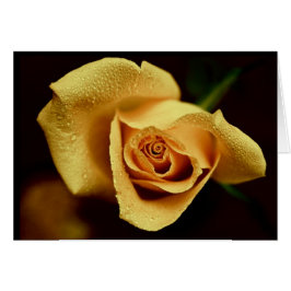 Cartão Fotografia da natureza