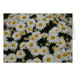 Cartão Fotografia da natureza