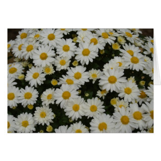 Cartão Fotografia da natureza