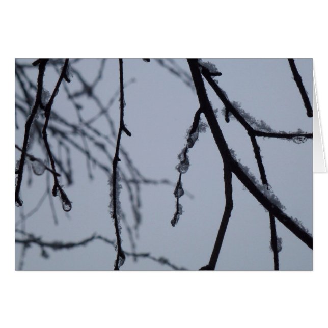 Cartão Fotografia da natureza do inverno em Icy Branches (Frente Horizontal)