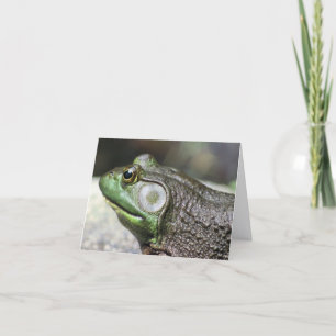 Cartão Fotografia da Natureza Pensamentos de Rã-Touro Not
