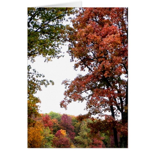 Cartão Fotografia da paisagem de outono (Frente)