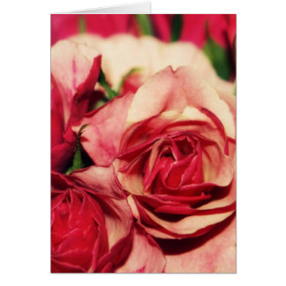 Cartão Fotografia das belas artes do buquê do rosa do