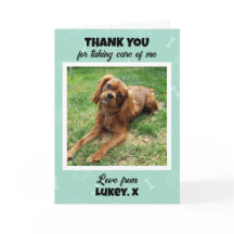 Fotografia de Agradecimento de Cuidados Personaliz