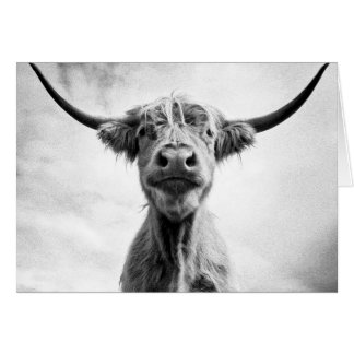 Cartão Fotografia de Arte com Estilo de Vaca Santa L