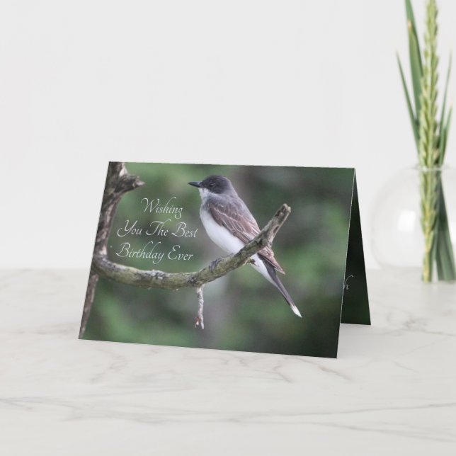 Cartão Fotografia de aves cinzas (Frente)