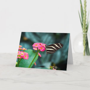 Cartão Fotografia de Borboleta em Flor Rosa