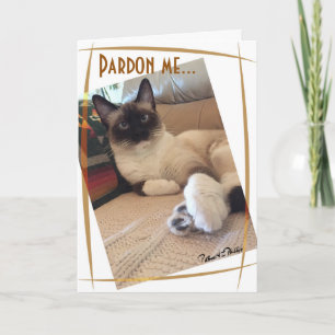 Cartão Fotografia de Fechamento de Kitten Siamês Cute Per