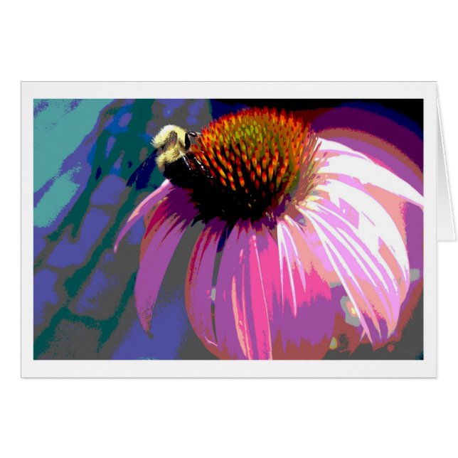 Cartão Fotografia de Flor Rosa Echinacea (Frente Horizontal)