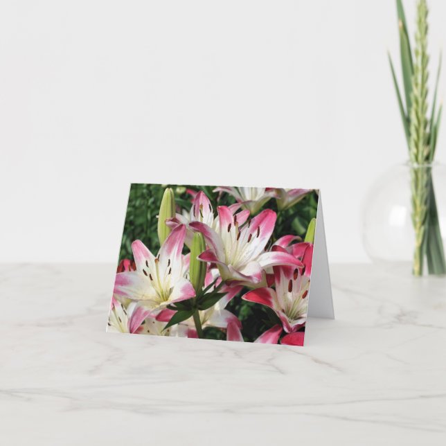 Cartão Fotografia de Flores de Lírios Sorridentes Nota (Frente)