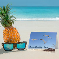 Fotografia de Gaivota Praia Bonita Feliz Aniversár
