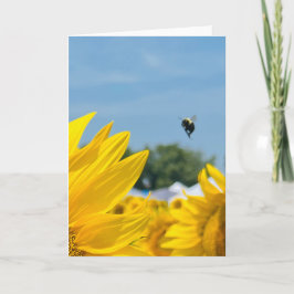 Cartão Fotografia de Girassol Abelheiro em Branco