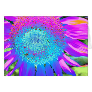Cartão Fotografia de girassol cor-de-rosa azul