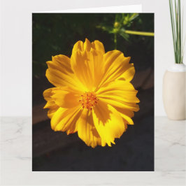 Cartão Fotografia de macro de ouro Flor