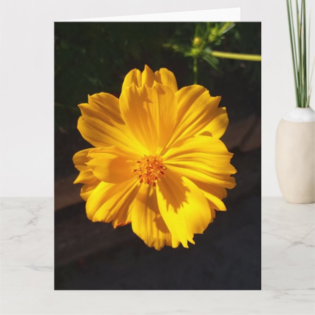 Cartão Fotografia de macro de ouro Flor (Frente)