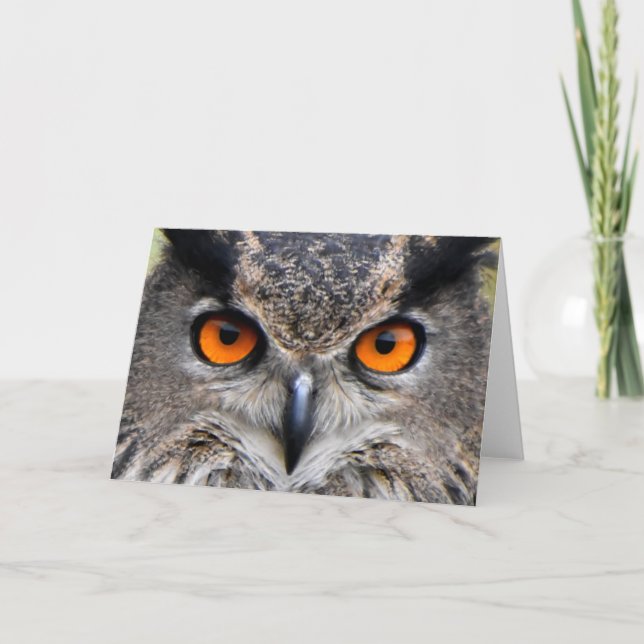 Cartão Fotografia de Macro Owl (Frente)