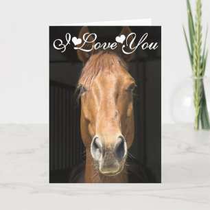 Cartão Fotografia de Rosto de Cavalo Eu Te Amo