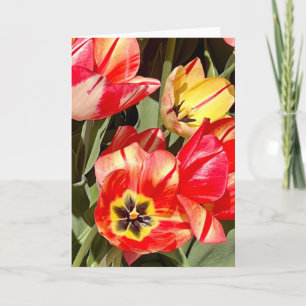 Cartão Fotografia de Tulipas Vermelhas e Amarelas Vibrant